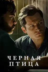 Чёрная птица